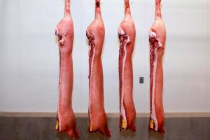 1 Lb Pork Carcass