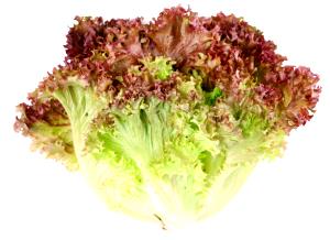 1 Lb Red Leaf Lettuce
