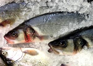 1 Lb Sea Bass (Mixed Species, Cooked, Dry Heat)