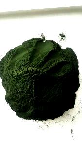 1 Lb Spirulina Seaweed