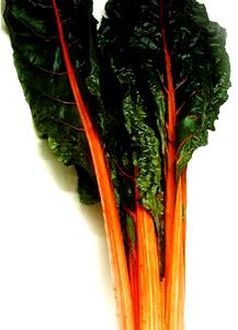 1 Lb Swiss Chard