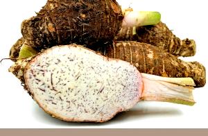 1 Lb Tahitian Taro (with Salt, Cooked)
