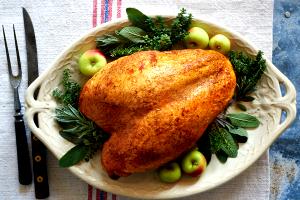 1 Lb Turkey Meat (Young Hen, Cooked, Roasted)