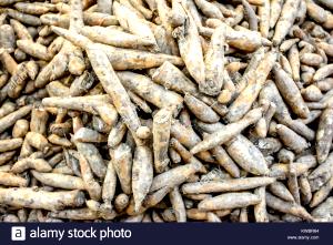 1 Lb Winged Bean Tuber