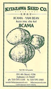 1 Lb Yambean (Jicama)