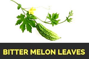 1 Leaf Balsam-Pear (Bitter Gourd, Leafy Tips)