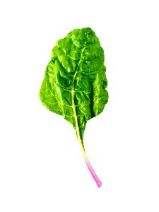 1 Leaf Chard