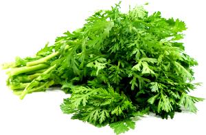 1 Leaf Chrysantemum Leaves, Raw