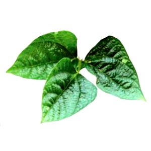 1 Leaf Cowpea, Leafy Tips, Raw