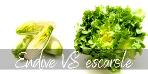 1 Leaf, Escarole Endive, Chicory, Escarole or Romaine Lettuce
