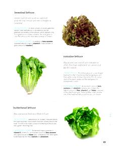 1 Leaf Small Butterhead Lettuce (Includes Boston and Bibb Types)