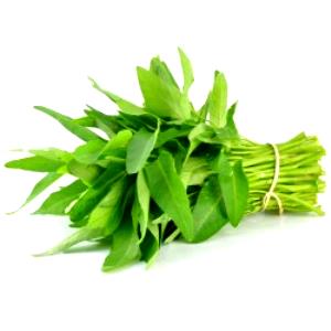 1 Leaf Water Spinach