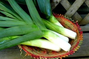 1 Leek (about 6-3/4" Long, 1" Dia) Cooked Leek