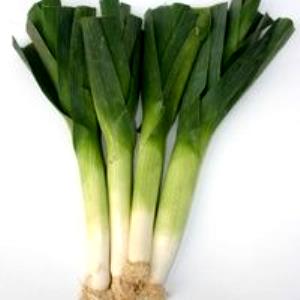 1 Leek Leeks (Bulb and Lower Leaf-Portion) (Without Salt, Drained, Cooked, Boiled)