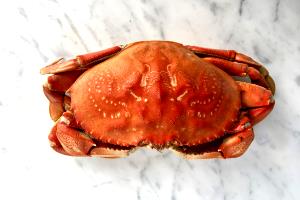 1 Leg Claw (cooked, Shell Removed), NFS Steamed Hard Shell Crab