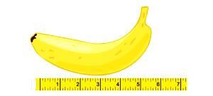 1 Linear Inch Banana