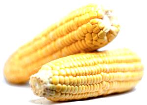 1 Linear Inch Cooked Corn (Fat Added in Cooking)