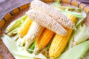 1 Linear Inch Cooked Yellow and White Corn (from Fresh)