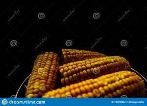 1 Linear Inch Cooked Yellow Corn (from Fresh)