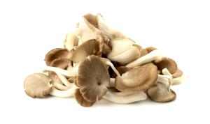 1 link (113 g) Garden Vegetable, Mushroom & Asiago Chicken Sausage