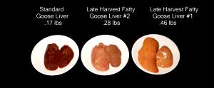 1 Liver Goose Liver