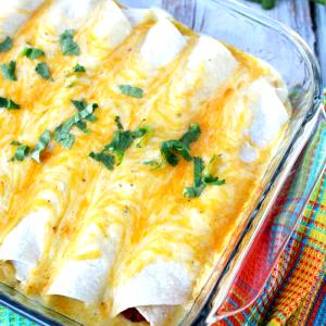 1 meal Enchilada Chicken Sour Cream