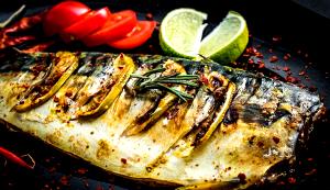 1 meal Spa Grilled Fish-of-The-Day
