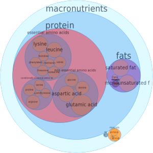 1 Medallion Beef Chuck (Shoulder Tender Medallion, Lean Only, Trimmed to 0" Fat, Select Grade)