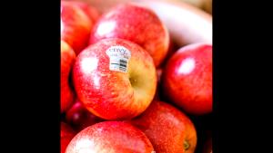 1 medium (182 g) Envy Apples