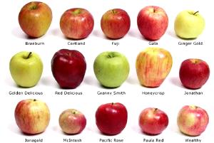1 Medium (2-3/4" Dia) Braeburn Apples