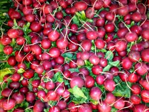1 Medium (3/4" To 1" Dia) Radish