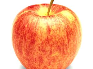 1 medium apple (154 g) Organic Gala Apples