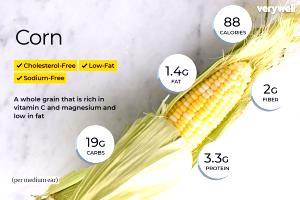 1 Medium Ear (6-3/4" To 7-1/2" Long) Cooked White Corn (from Fresh, Fat Added in Cooking)