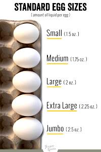 1 medium egg (44 g) Grade A Medium Eggs