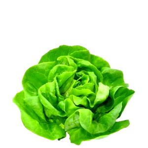 1 Medium Leaf Boston Lettuce