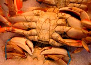 1 Medium, NFS (yield After Cooking, Shell Removed) Baked or Broiled Crab