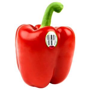 1 medium pepper (148 g) Red Bell Pepper