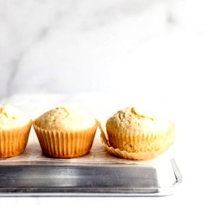 1 Medium Plain Muffin