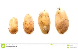 1 medium potato (148 g) Russet Potatoes
