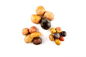 1 medium potato (5 small potatoes) (148 g) Mini Red Potatoes