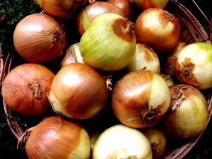 1 Medium Slice (1/8" Thick) Mature Onions