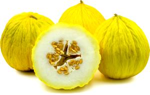 1 Melon Cassaba Melon