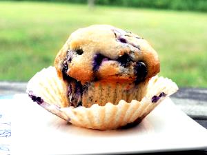 1 muffin (42 g) Blueberry Muffin Pucks