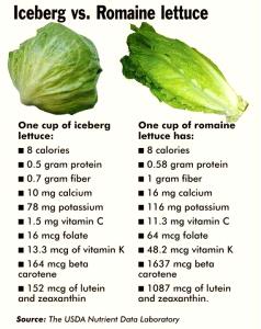 1 NLEA Serving Cos or Romaine Lettuce