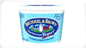 1 One Inch Stick Salted Margarine-Like Spread made with Yogurt Stick