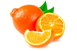 1 orange Minneola Tangelo Orange