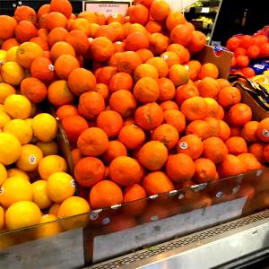 1 Orange Seville Orange