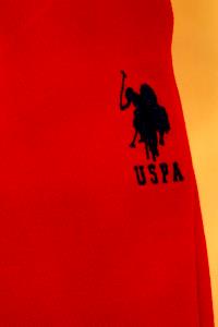 1 order (669.2 g) Red & White Lasagna