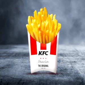 1 order French Fries (Large)