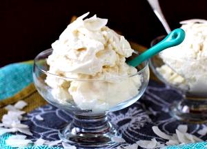 1 oz (28 g) Coconut Frozen Yogurt